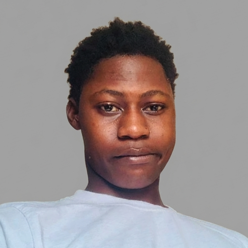 Adeleke Pelumi - Field Engineer